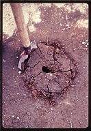 earth-probe-one_hole-sample-04-th.jpg (11049 bytes)