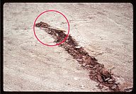 earth-probe-one_surface-plow-test-06-th.jpg (10017 bytes)