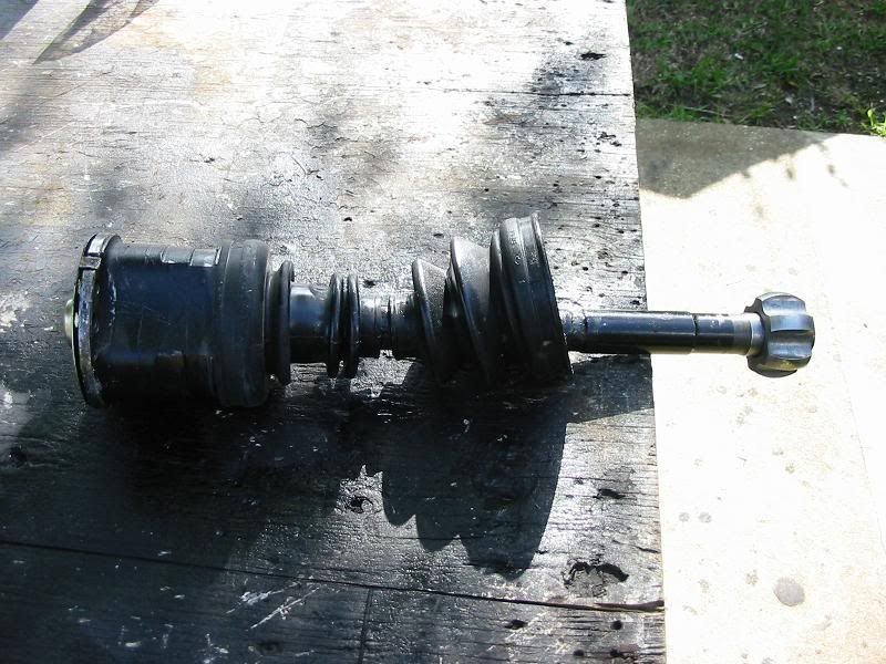 File:8bb1f107 IMG 4047.jpg