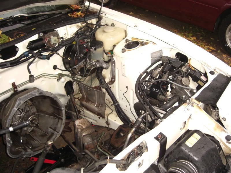 File:5e15876f baycleaning2.jpg
