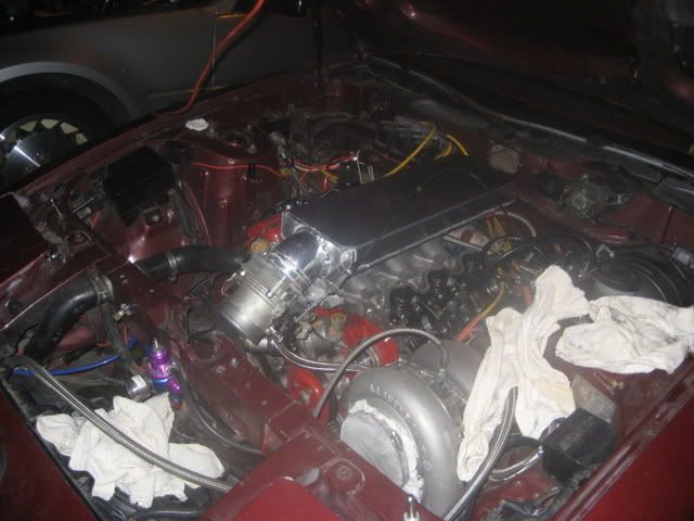 File:25f2cc8a IMG 1725.jpg