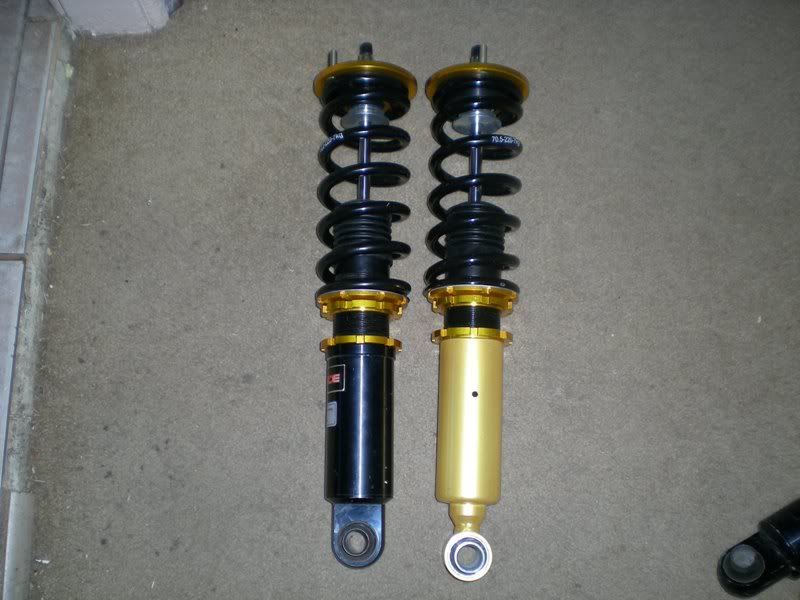 File:2947137a zilviaforsale008.jpg
