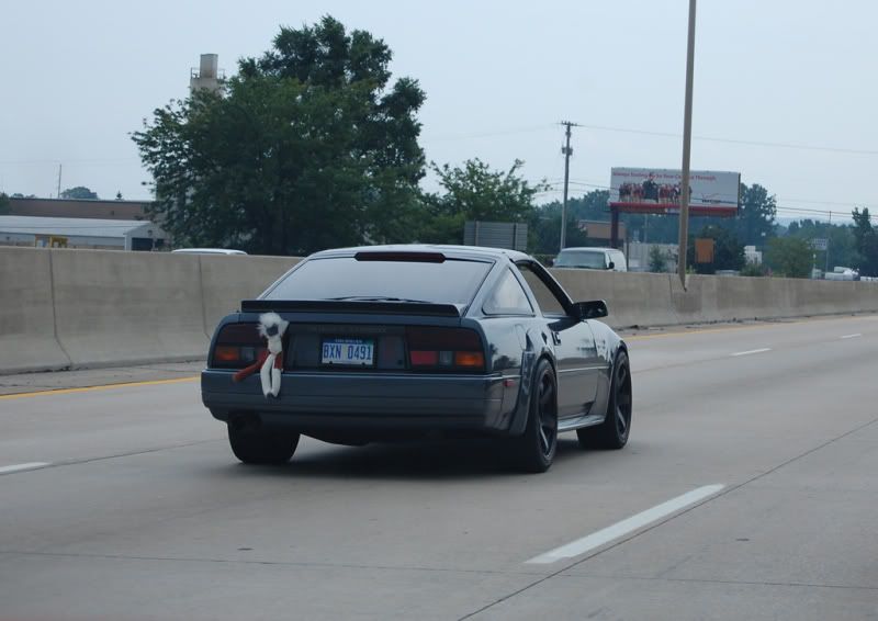 File:7a23505e mikerear.jpg
