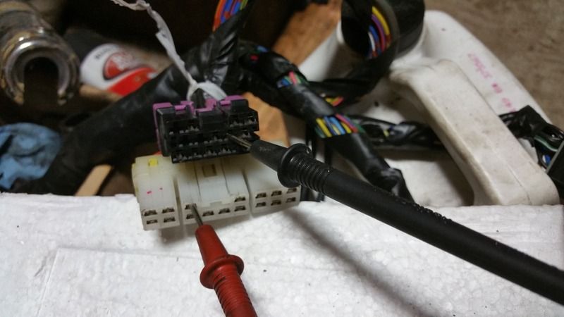 File:0c62a8a0 20150803 071920 001 zps8hpgtfb8.jpg