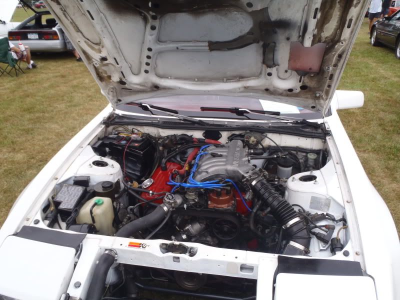 File:225a8b01 P7140750.jpg