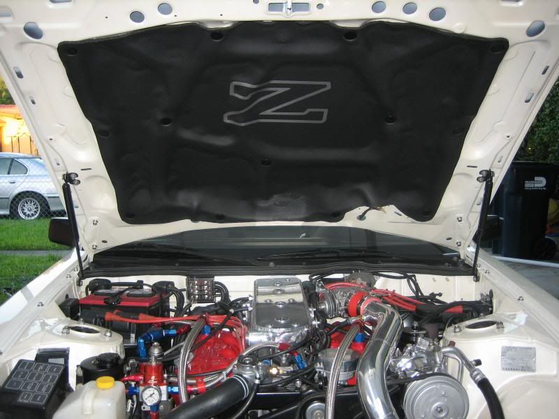 File:4f458ef3 photoshoot066.jpg