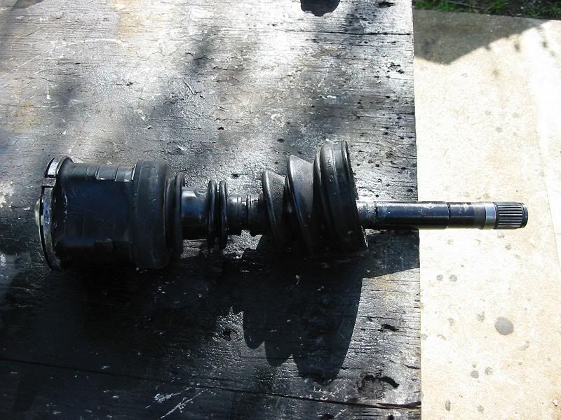 File:8af2b41b IMG 4046.jpg