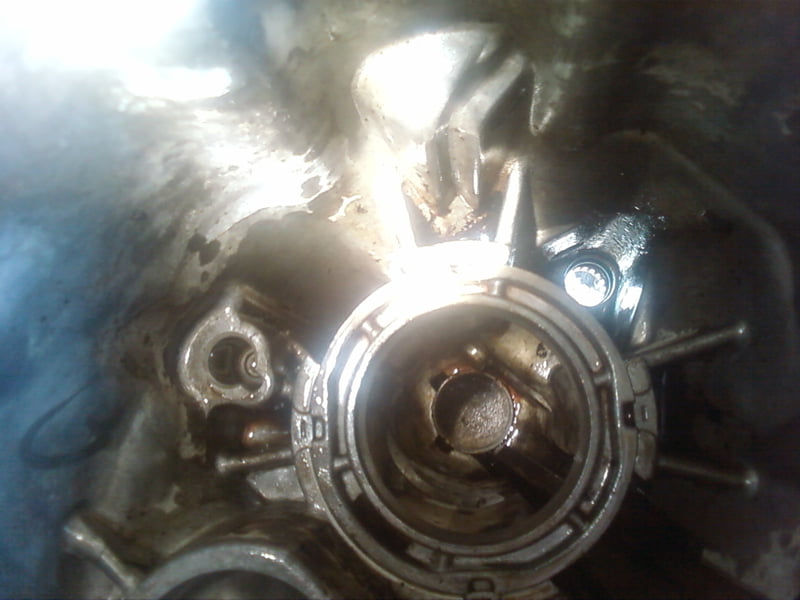 File:229320a8 Net-Dirty-tail-housing.jpg