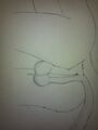 Thumbnail for version as of 05:01, 15 May 2026