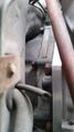 Thumbnail for version as of 05:01, 15 May 2026