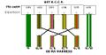 Thumbnail for version as of 05:01, 15 May 2026