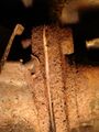 Thumbnail for version as of 05:01, 15 May 2026