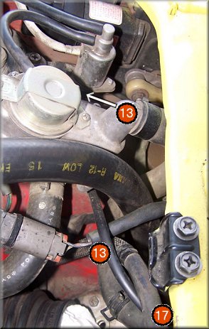 aiv_bottom.jpg