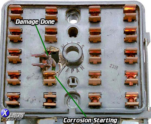 my-melted-fuse-box-2.jpg