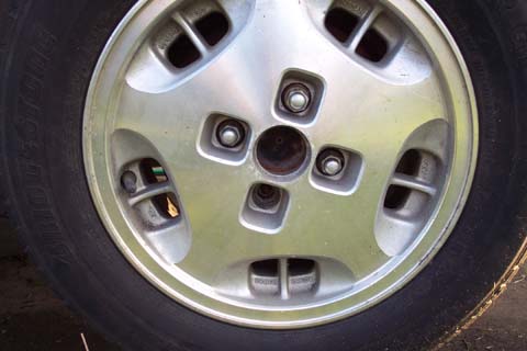 step1.jpg