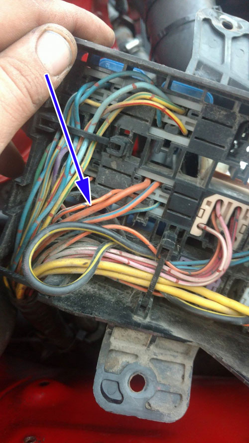 wire.jpg